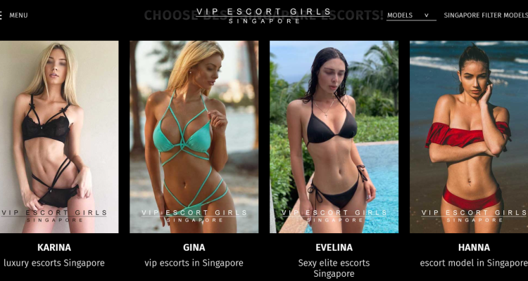 VIP Escort Girls Singapore Services