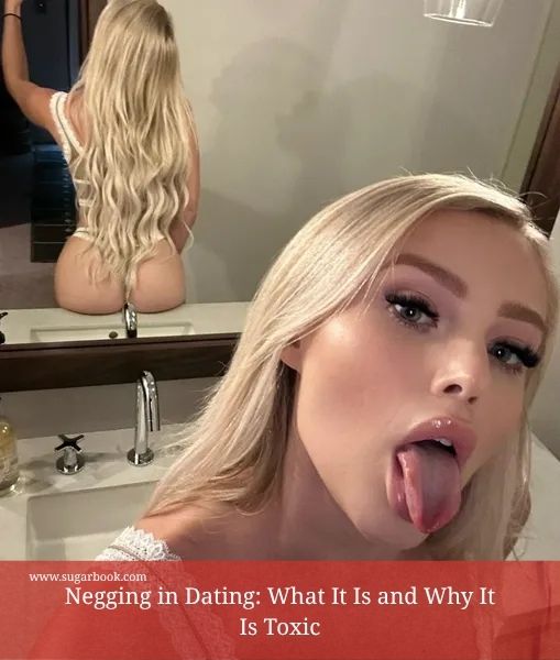 Tampa Escorts vs Sugar Dating: What’s the Real Difference?