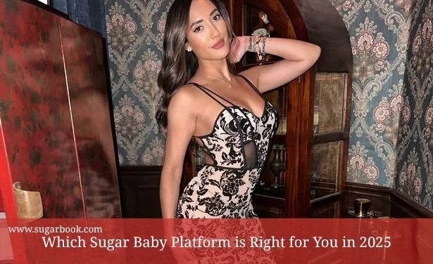 Which Sugar Baby Platform is Best for You in 2025? Comparison Guide