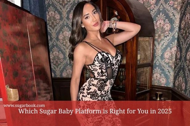 Which Sugar Baby Platform is Right for You in 2025