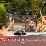 Private Sugar Club in the US – The Truth About Sugar Dating in 2025