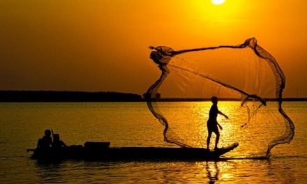 2026 包養平台推薦哪個？實名制台灣包養平台優缺點一次分析